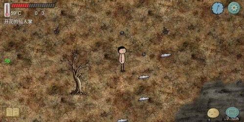 流放世子妃，我靠种地盘活全府,从流放之地到府中富婆的种地传奇  第3张