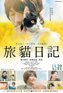 旅猫日记,跟随猫咪的脚步，探寻世界之美  第3张